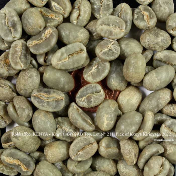 Rohkaffee kenya-kegwa-grad.ab-top-lot-Nr-211-pick-of-kenya-kirinyaga-2022-rohkaffeebohnen.de