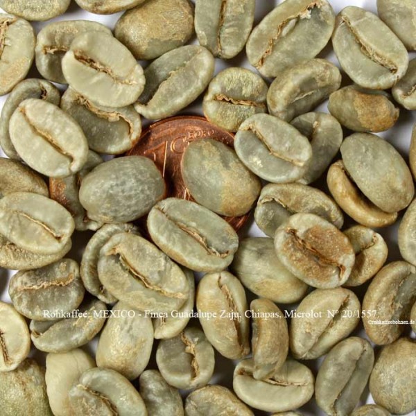 rohkaffee-mexico-finca-guadalupe-zaju-chiapas-microlot-nr.-20-1557-©rohkaffeebohnen.de