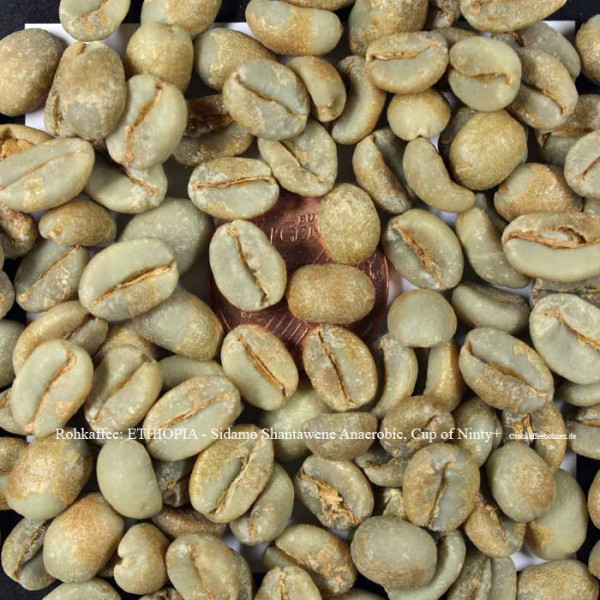 rohkaffee ethiopien- sidamo-shantawene-anaerobic-cup-of-ninty-plus-rohkaffeebohnen.de