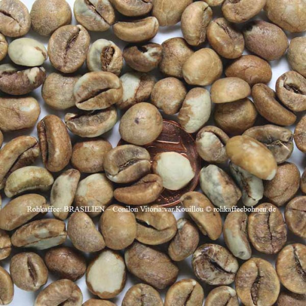 BRASILIEN - Coffea canephora var. Kouillou, pulped washed
