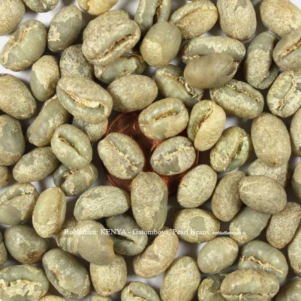 rohkaffee-kenya-gatomboya-pearl-beans-rohkaffeebohnen.de