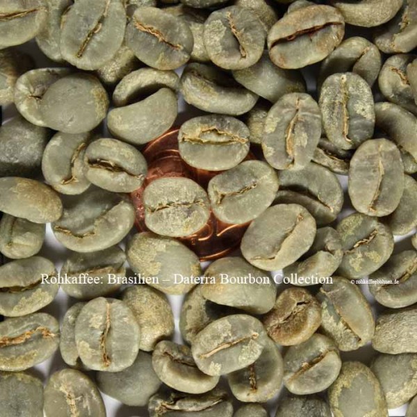 BRASILIEN - Daterra Bourbon Collection