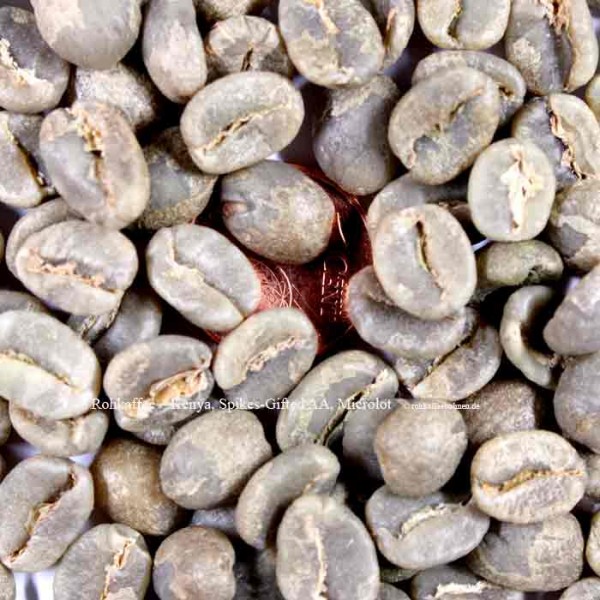 KENYA - Spikes-Gifted AA, Microlot