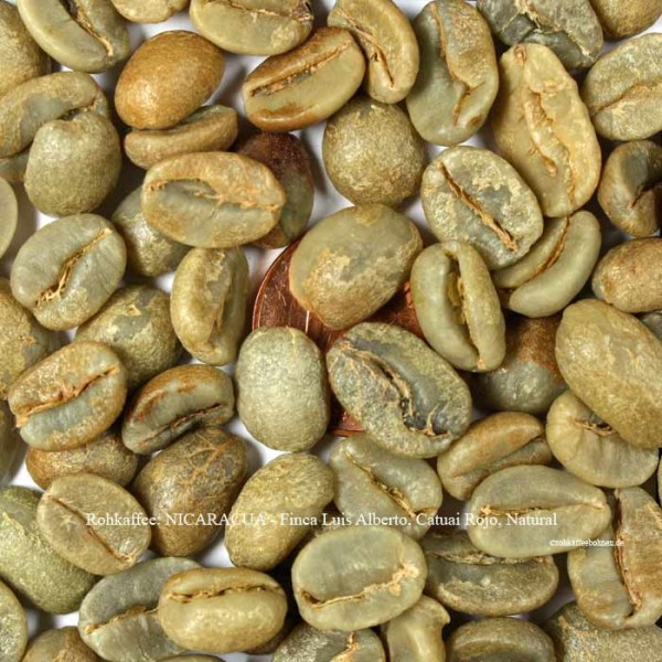 rohkaffee-nicaracua-finca-luis-alberto-catuai-rojo-natural-©rohkaffeebohnen.de