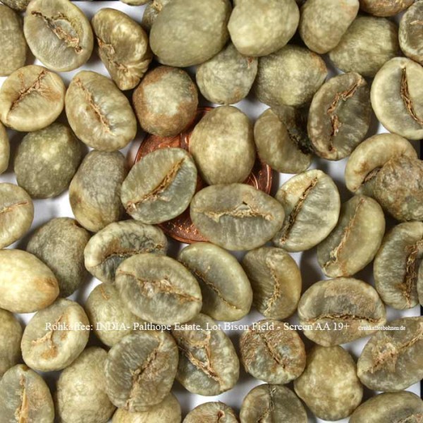 rohkaffee-india- palthope-estate-lot-bison-field-screen-aa-19+-©rohkaffeebohnen.de