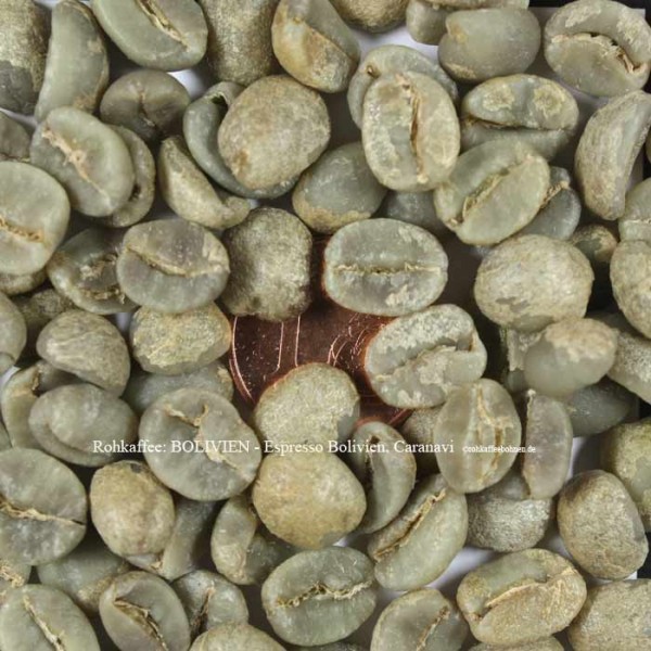 BOLIVIEN - Espresso Bolivien, Caranavi