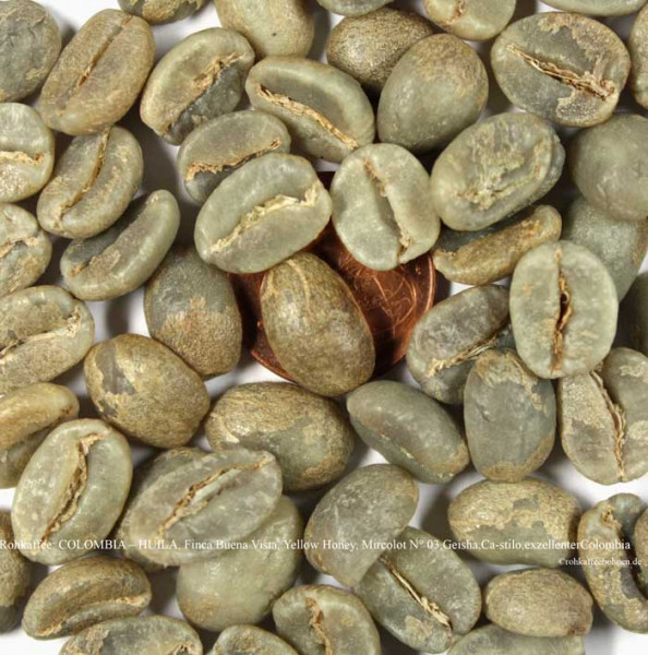 rohkaffee-colombia-huila-finca-buena-vista-yellow-honey-microlot-geisha-castillio-rohkaffeebohnen-de
