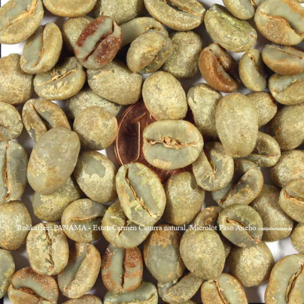 rohkaffee-panama-estate-carmen-caturra-natural-microlot-paso-ancho-rohkaffeebohnen.de