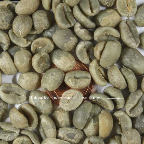 INDONESIEN - JAVA, Estate, Large Bean