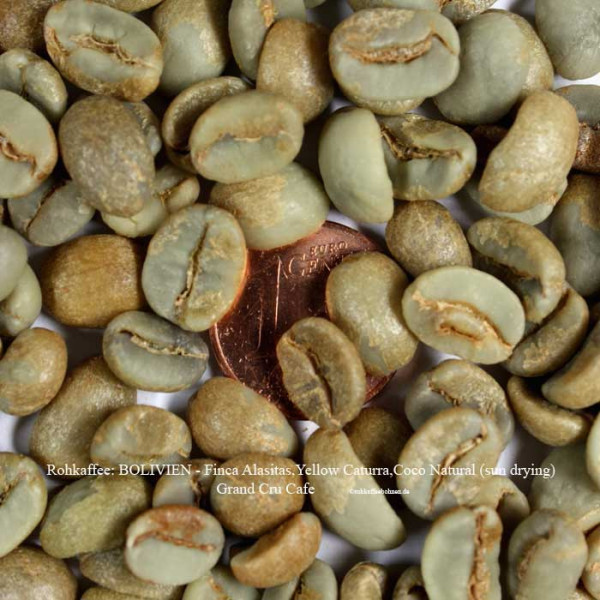 rohkaffee-bolivien-finca-alasitas-yellow-caturra-coco-natural-sun-drying-grand-cru-café-rohkaffeebohnen.de
