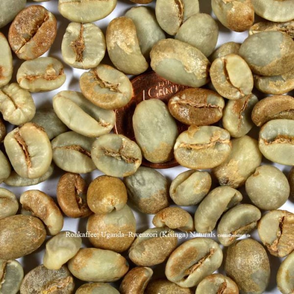 rohkaffee-uganda-rwenzori-kisinga-naturals © rohkaffeebohnen.de