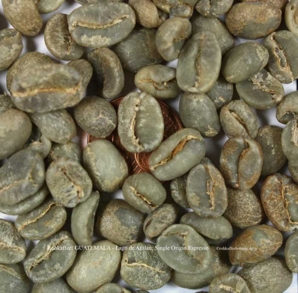 rohkaffee-guatemala-lago-de-atitlan-single-origin-espresso-rohkaffeebohnen-de