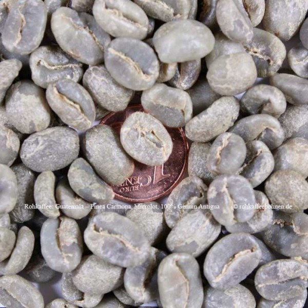 GUATEMALA - Finca Carmona; Microlot; 100% Antigua