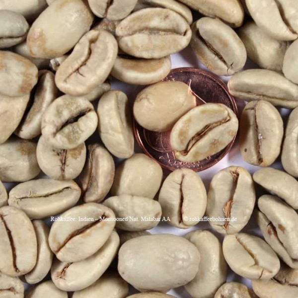 INDIA - Monsooned Nat.Malabar AA - Monsooned in the traditional
