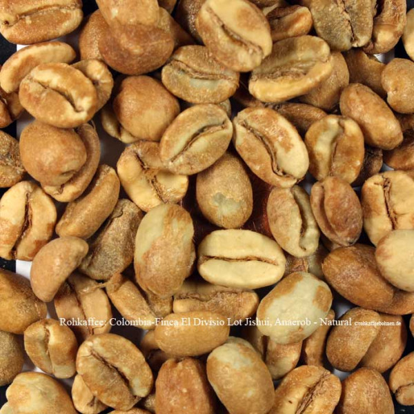rohkaffee-colombia-finca-el-divisio-lot-jishui-anaerob-natural-rohkaffeebohnen.de