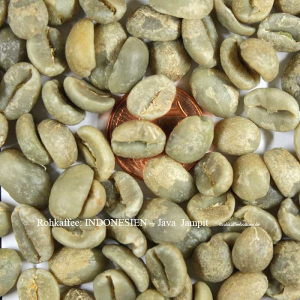 JAVA - JAVA WIB 1 Medium BEAN