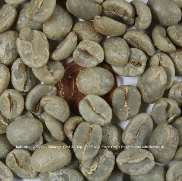 rohkaffee-kenya-kirinyaga-grad-aa-top-lot-n°-02b-single-origin-espresso-rohkaffeebohnen.de