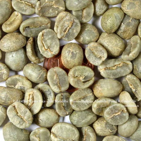 Rohkaffee: Costa Rica - Lot Matinilla: Plateau Heredia, Alajuela (Poás) & Corralillo ©rohkaffeebohnen.de