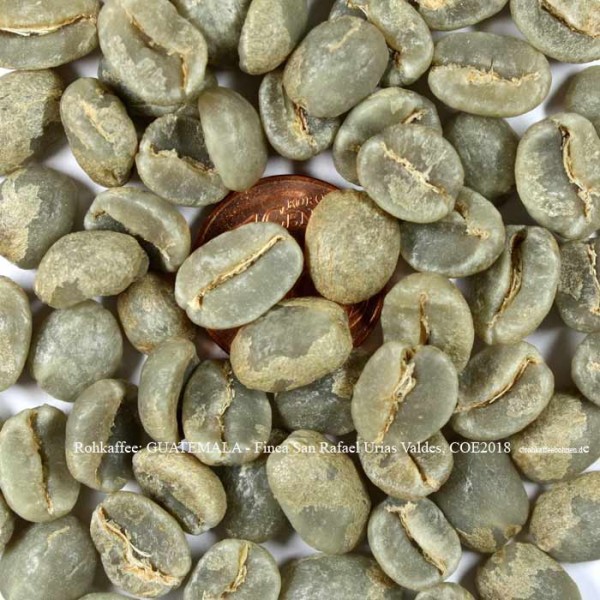 rohkaffee-guatemala-finca-san-rafael-urias-valdes-coe-2018-©rohkaffeebohnen.de