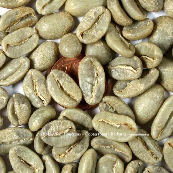 rohkaffee-honduras-copán-santa-barbara-rohkaffeebohnen.de