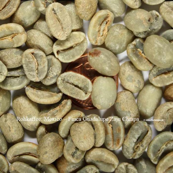 MEXICO - Finca Guadalupe ZajuChiapas, Microlot N° 20/1557