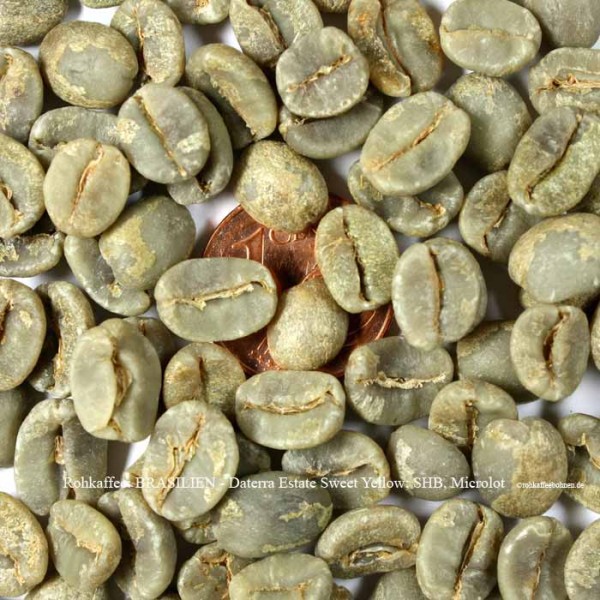 Rohkaffee: BRASILIEN - Daterra Estate Sweet Yellow; SHB, Microlot   ©rohkaffeebohnen.de