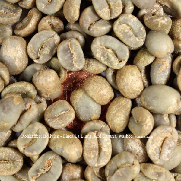 rohkaffee-bolivien-finca-la-linda-red-caturra-washed-rohkaffeebohnen.de