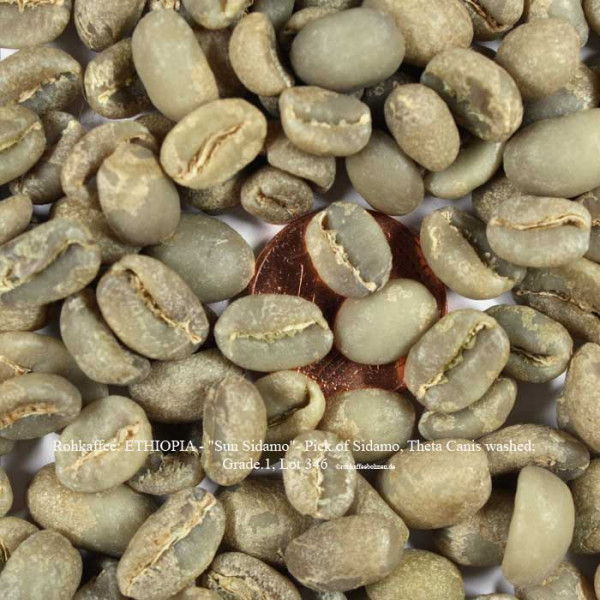 rohkaffee-ethiopia-sun-sidamo-pick-of-sidamo-theta-canis-washed-grade-1-lot 346-rohkaffeebohnen.de