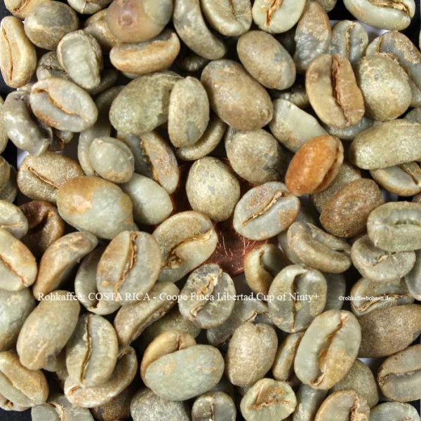 rohkaffee-costa-rica-coope-finca-libertad-cup-of-ninty-plus-rohkaffeebohnen.de