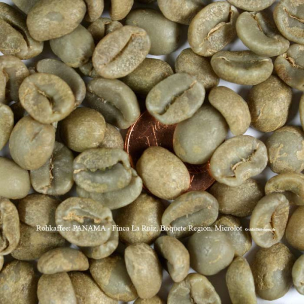 rohkaffee-panama-finca-la-ruiz-boquete-region-microlot-©rohkaffeebohnen.de