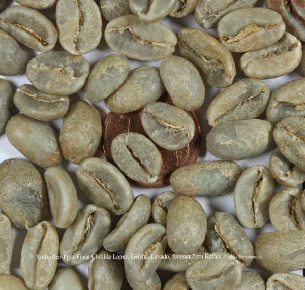 rohkaffee-peru-finca-clotilde-lopez-geisha-lavado-feinster-peru-kaffee-rohkaffeebohnen.de