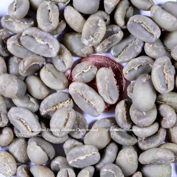 ETHIOPIA - SIDAMO Chire washed - Gr.1, Microlot