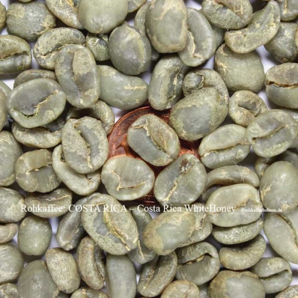 COSTA RICA Finca Volcanic - White Honey