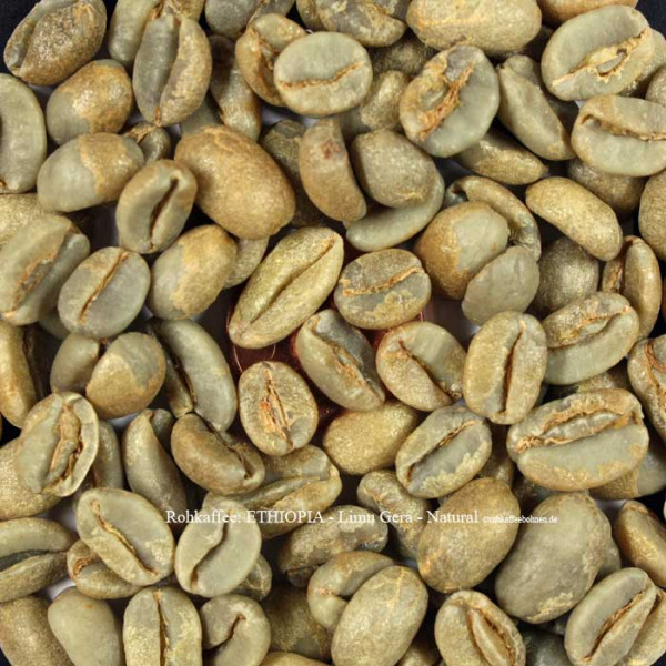 rohkaffee-ethiopia-limu-gera-natural-rohkaffeebohnen.de