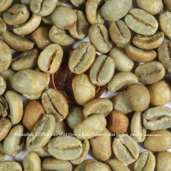 rohkaffee-ethiopia-wild-grown-kafa-forest-coffee-gr.3bis4-natural-©rohkaffeebohnen.de