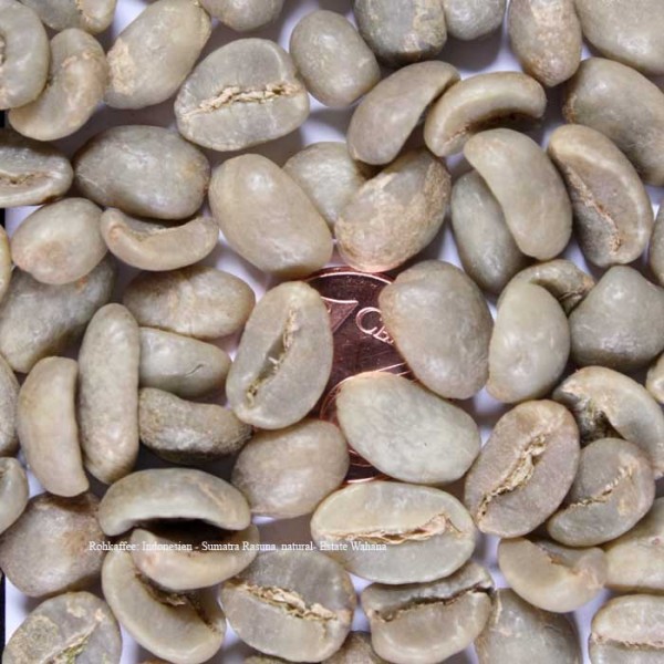 INDONESIEN - Sumatra Rasuna – Natural 1