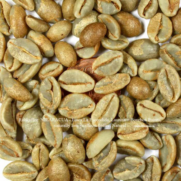 NICARACUA - Finca La Escondida, Laurina = Bourbon Pointu, naturally low - caffeine coffee, Natural |https://www.rohkaffeebohnen.de