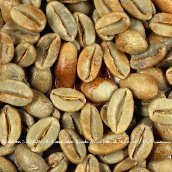rohkaffee-nicaragua- finca-ireneo-blandino-java-natural-micro-lot-nr1-056-rohkaffeebohnen.de