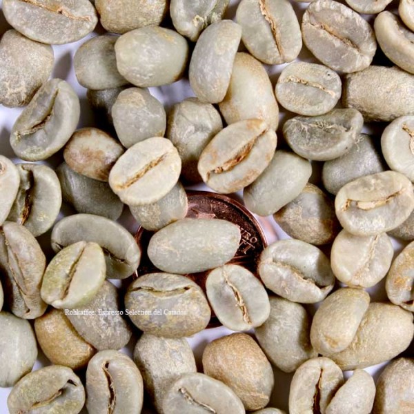 Espresso Seleccion del Catador