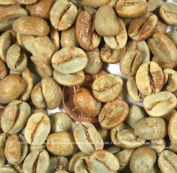 rohkaffee-costa-rica-finca-libertad-double-lavado-grand-cru-café-cup-of-ninty-plus-rohkaffeebohnen-de