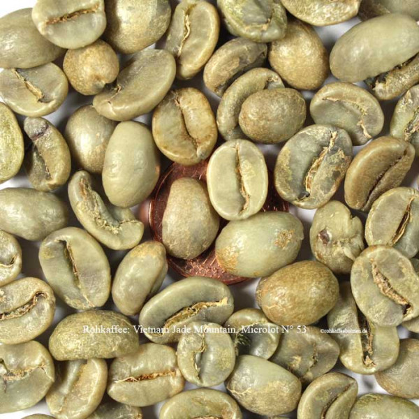 Vietnam - Jade Mountain, Yellow Honey, Microlot N° 03