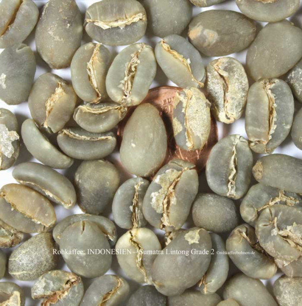 rohkaffee-indonesien-sumatra-lintong-grad-2-rohkaffeebohnen.de