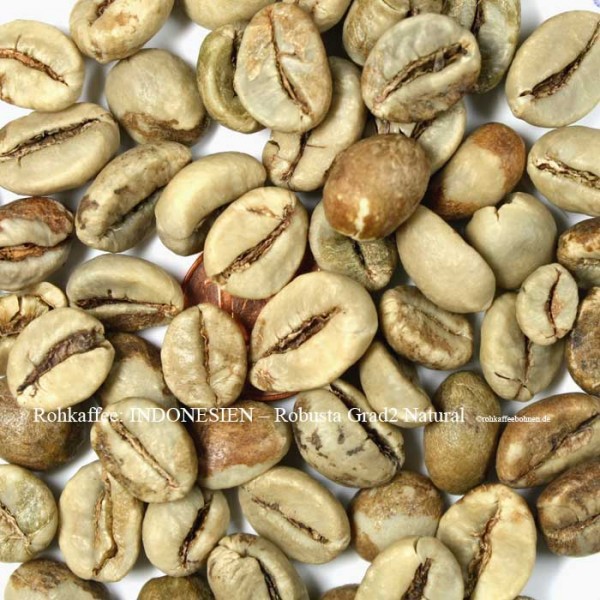 INDONESIEN - Robusta Natural, Grad 2, EK/SP, ELB (Extra Large Beans)