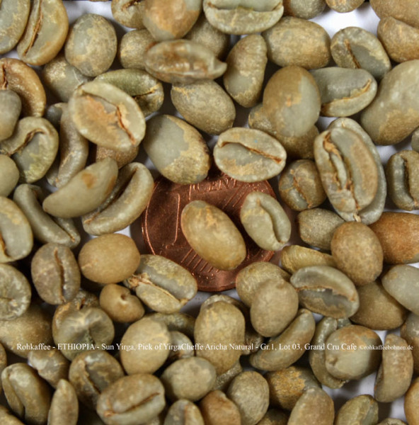 rohkaffee-ethiopia-sun-yirga-pick-of-yirgacheffe-aricha-natural-grad1-lot-03-grand-cru-cafe-rohkaffeebohnen.de