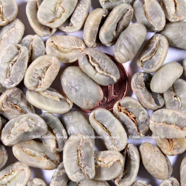 NICARAGUA - Finca La Bendición,Pacamara, Micro Lot N°11 - https://www.rohkaffeebohnen.de/