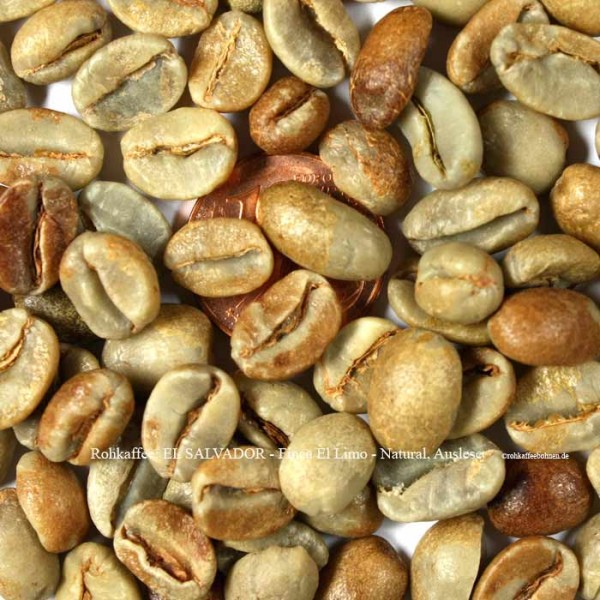 rohkaffee-el-salvator-finca-el-limo-natural-auslese-rohkaffeebohnen.de