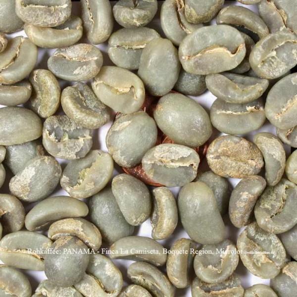 rohkaffee-panama-finca-la-camiseta-boquete-region-microlot-rohkaffeebohnen.de
