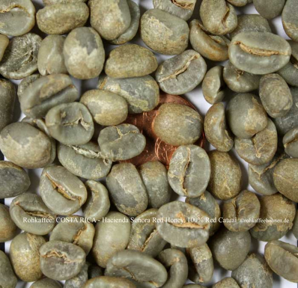 rohkaffee-costa-rica-hacienda-sonora-red-honey-red-catuai-rohkaffeebohnen.de