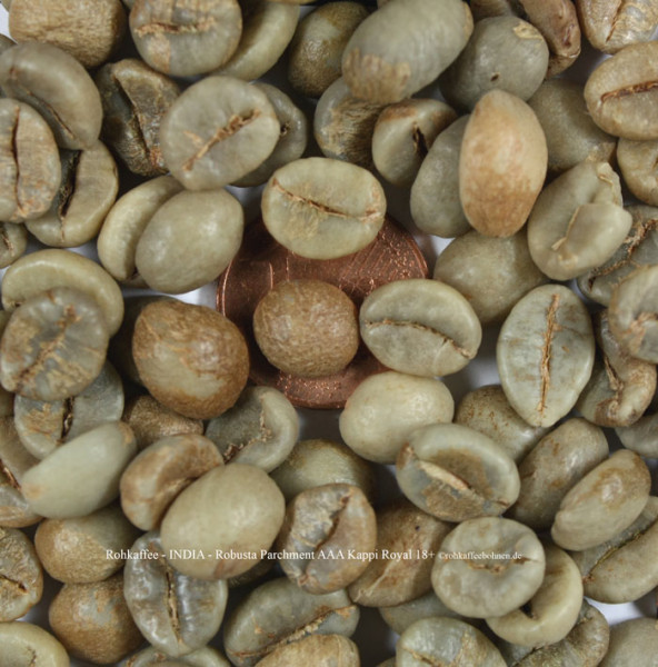 rohkaffee-india-robusta-parchment-aaa-kappi-roya-18plus-rohkaffeebohnen.de