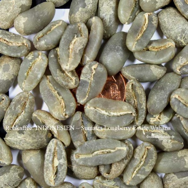 INDONESIEN - Sumatra Longberry